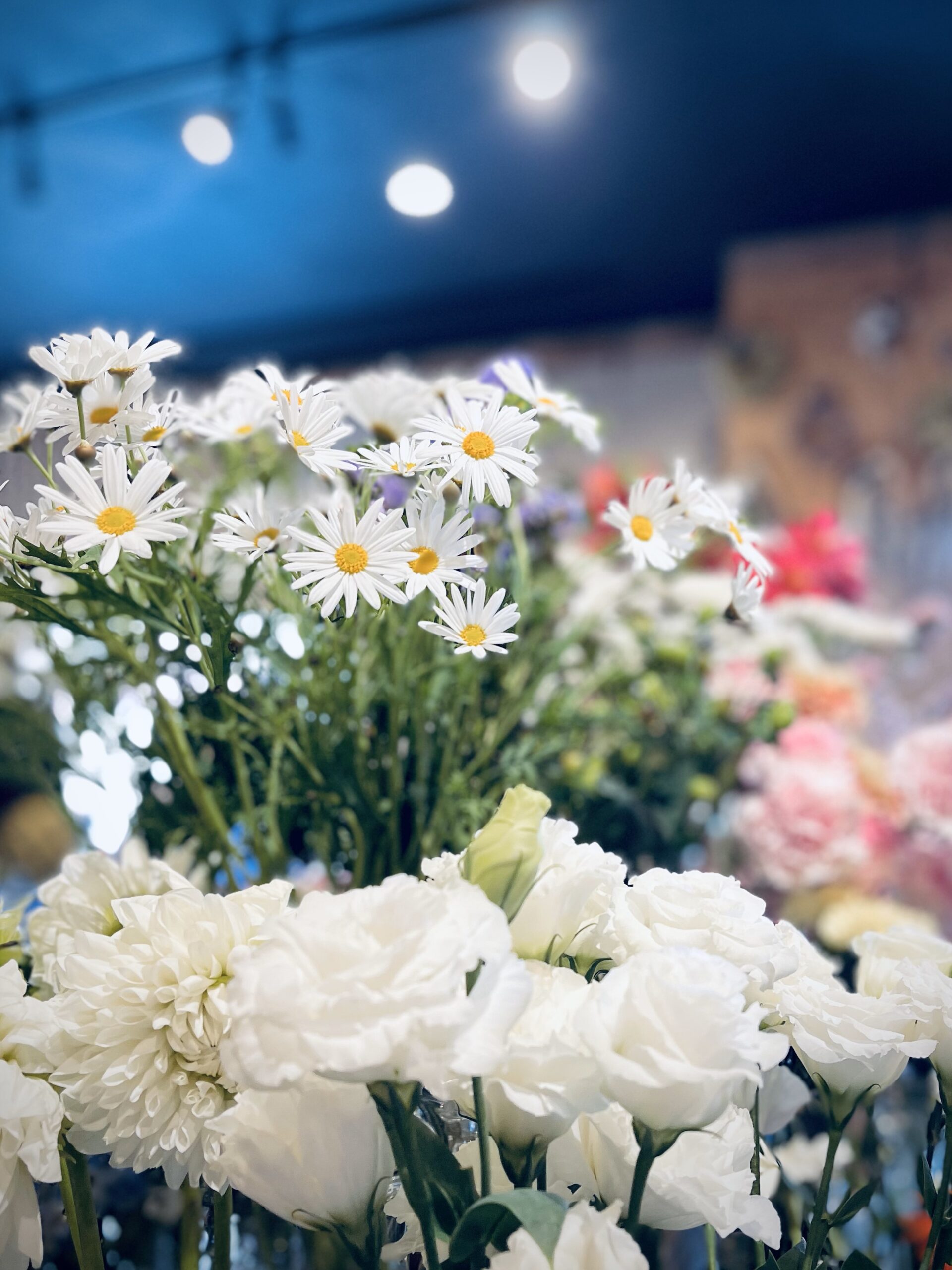 花屋西別府商店　地衣類オブジェ　気まぐれの蒐集箱 花屋西別府商店 地衣類オブジェ 気まぐれの蒐集箱
