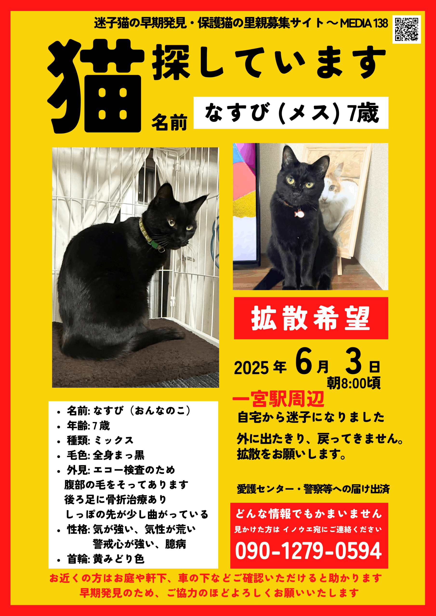 迷子猫の早期発見・保護猫の里親募集～一宮市ペット情報コミュニティ 